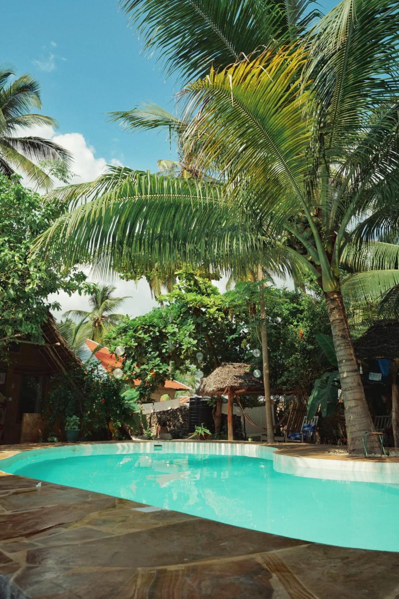 Bed and Breakfast Ocean Boho House à Jambiani  Extérieur photo